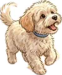 Pippy, a small fluffy cream-coloured puppy with a blue collar.